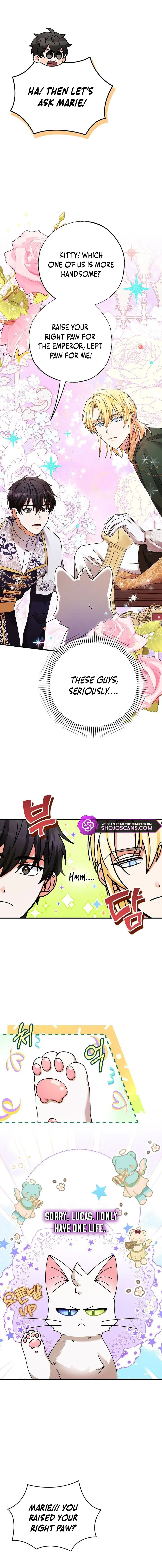 I Became the Emperor’s Cat Chapter 6 Online - página 13