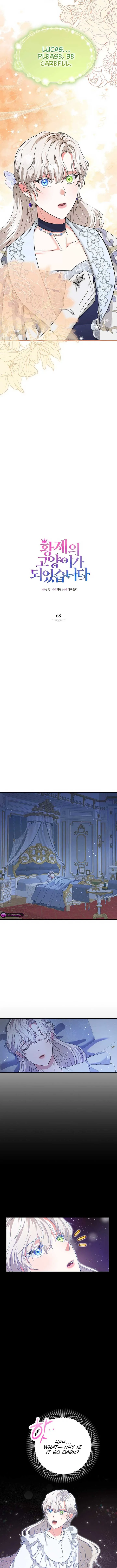 I Became the Emperor’s Cat Chapter 63 Online - página 3