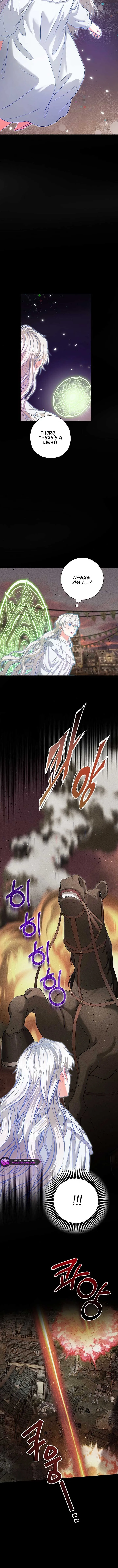 I Became the Emperor’s Cat Chapter 63 Online - página 4