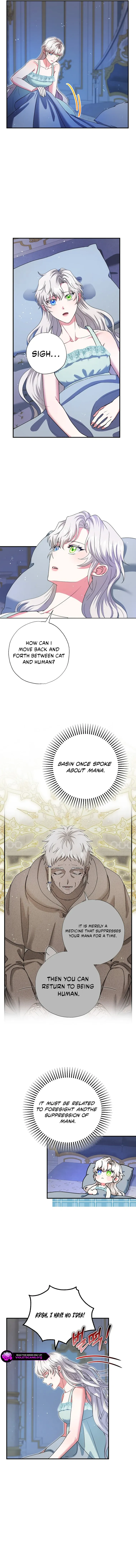 I Became the Emperor’s Cat Chapter 72 Online - página 8