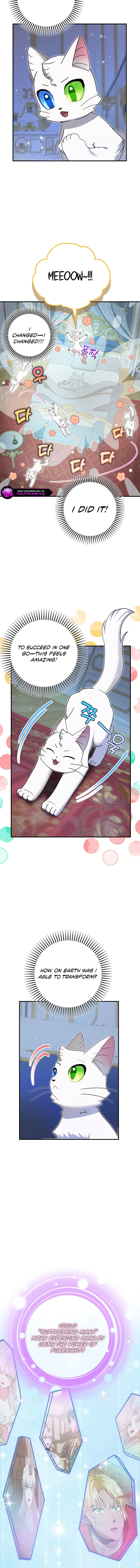 I Became the Emperor’s Cat Chapter 72 Online - página 10