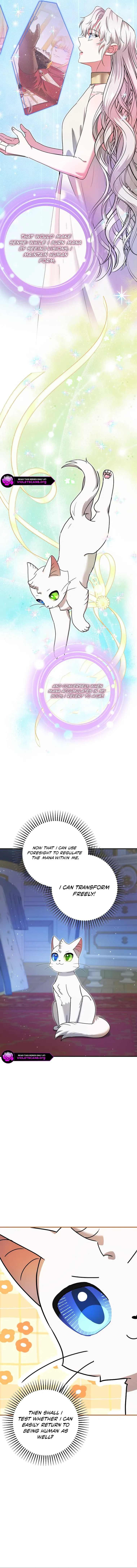 I Became the Emperor’s Cat Chapter 72 Online - página 11