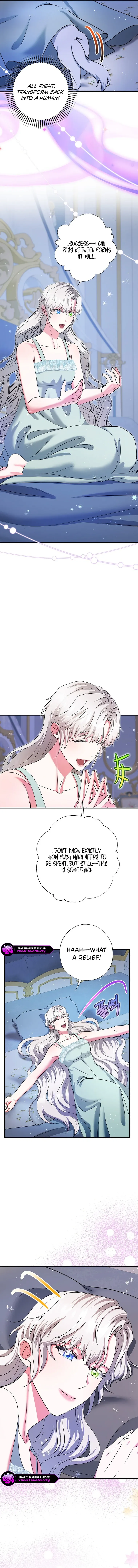 I Became the Emperor’s Cat Chapter 72 Online - página 12
