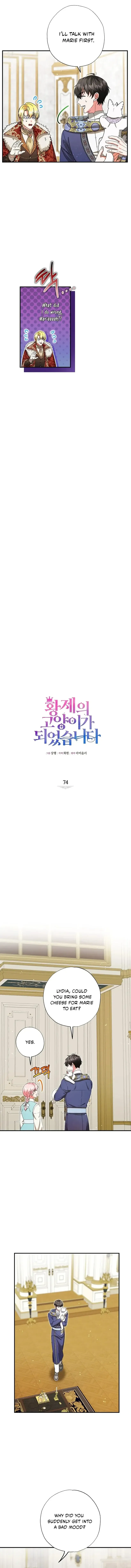 I Became the Emperor’s Cat Chapter 74 Online - página 5