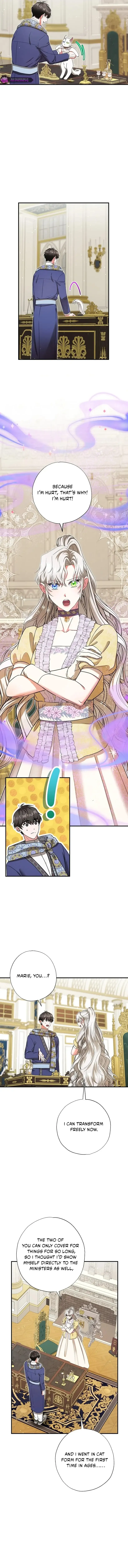 I Became the Emperor’s Cat Chapter 74 Online - página 6