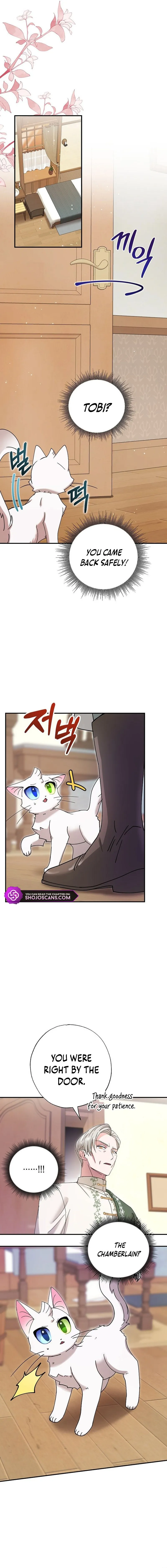 I Became the Emperor’s Cat Chapter 8 Online - página 10