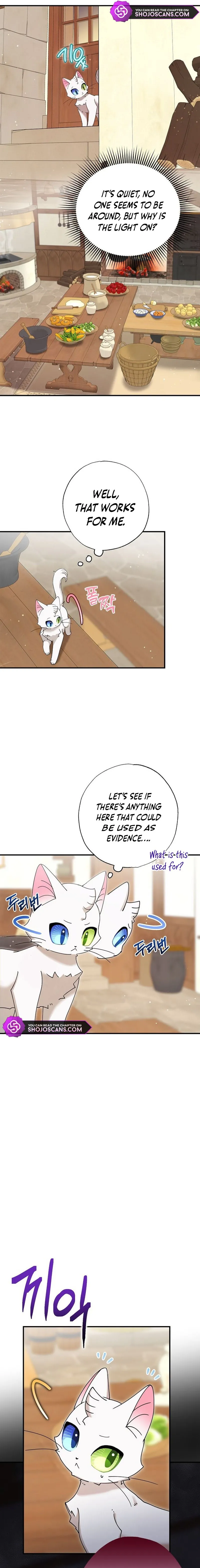 I Became the Emperor’s Cat Chapter 8 Online - página 16