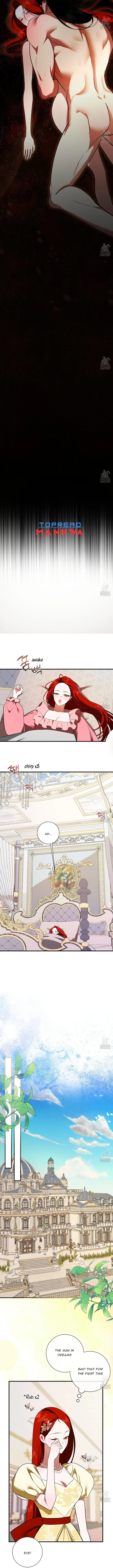 I Became the First Love of My Stepson Chapter 22 Online - página 8