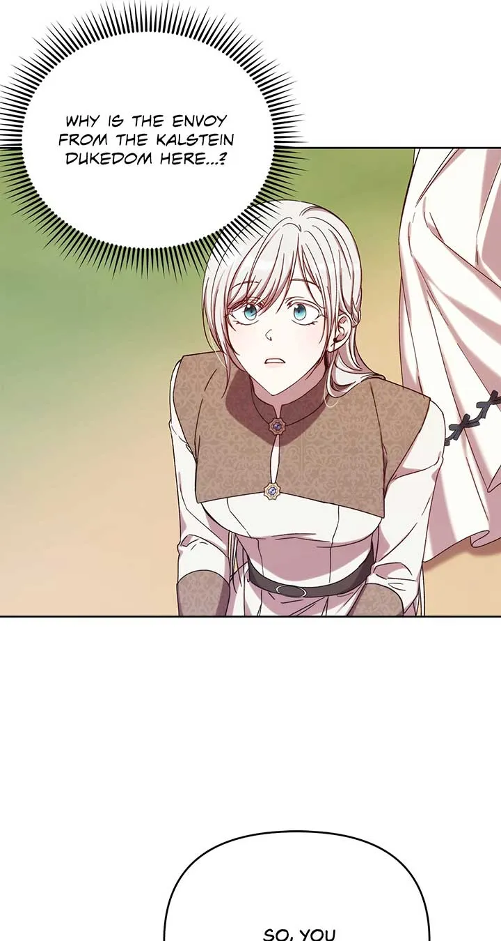 I Became the Greatest Heiress of the Empire Chapter 32 Online - página 9