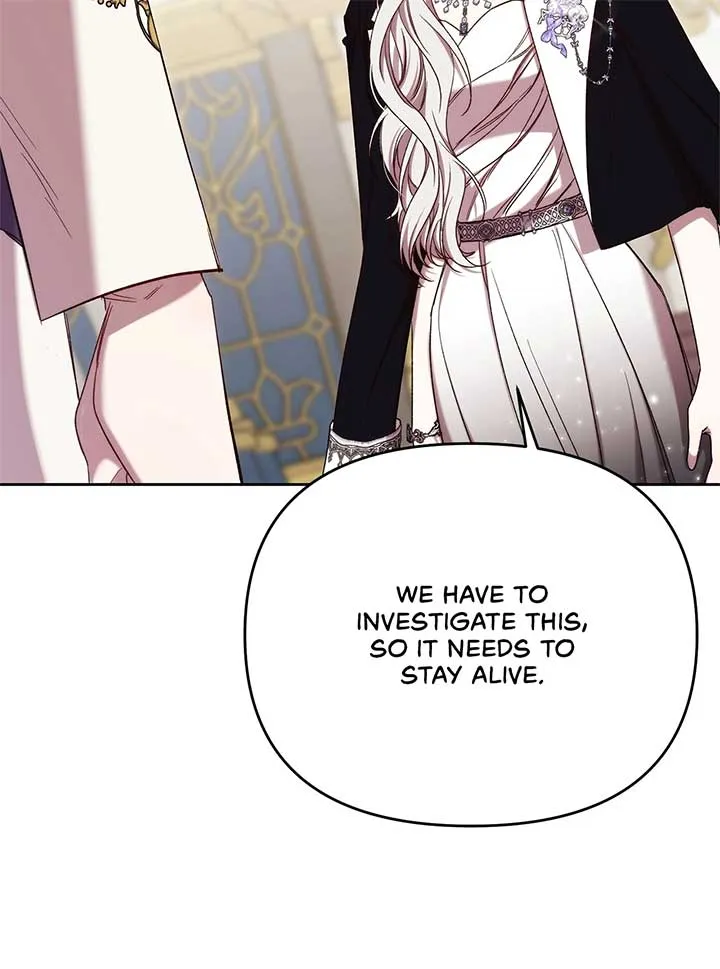 I Became the Greatest Heiress of the Empire Chapter 61 Online - página 88