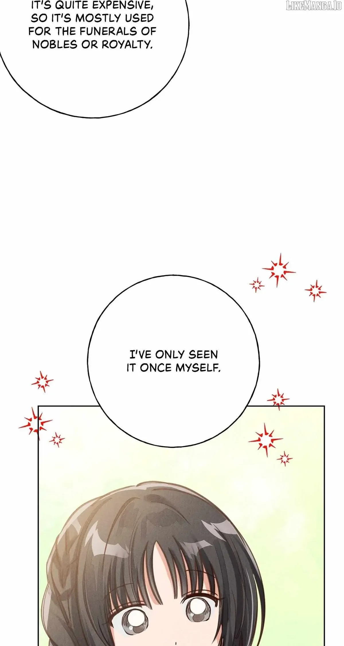 I Caught the Male Lead on a Deserted Island Chapter 24 Online - página 28