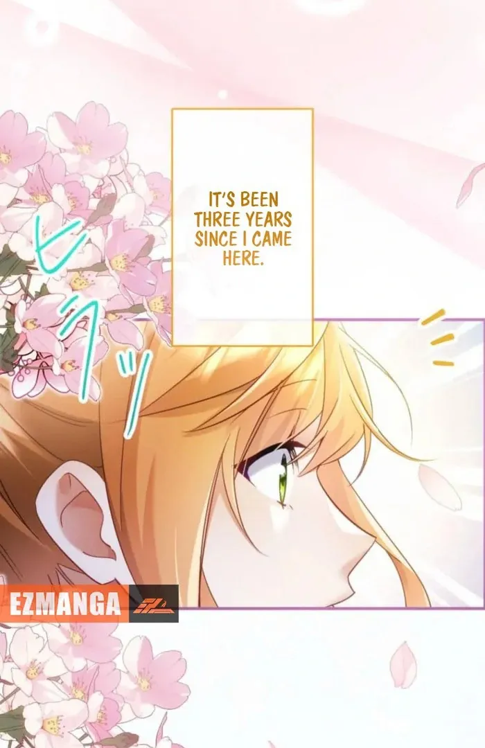 I Committed a One-Night Mistake with the Young Lady? Chapter 24 Online - página 12