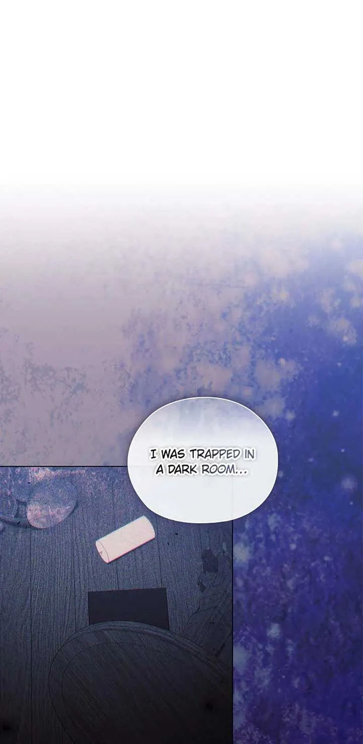 I don’t believe in my twin sister Chapter 63 Online - página 41