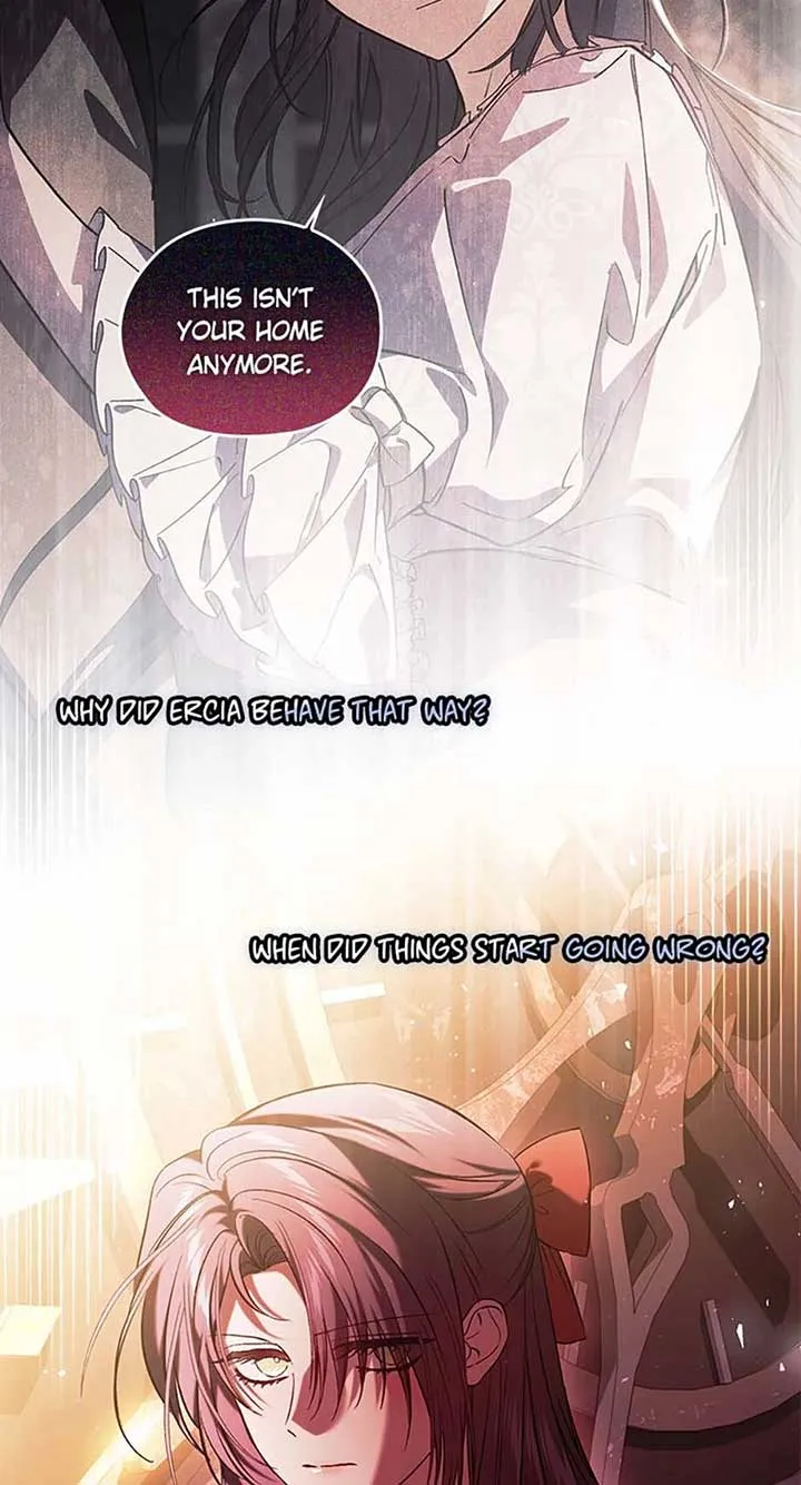 I don’t believe in my twin sister Chapter 72 Online - página 17