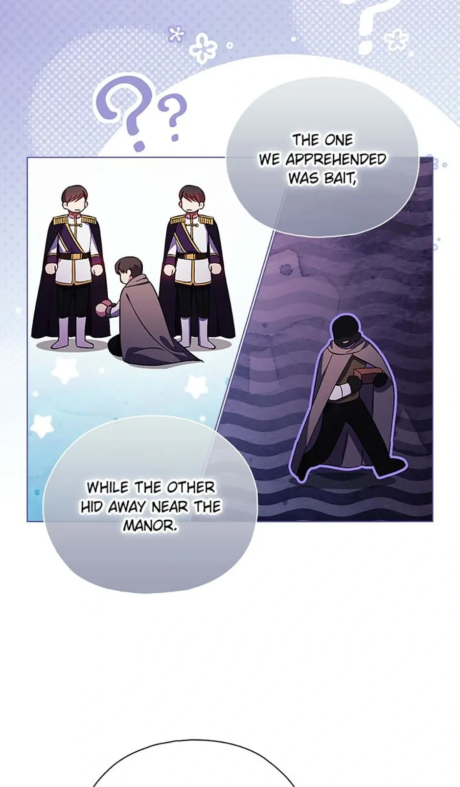 I don’t believe in my twin sister Chapter 78 Online - página 13