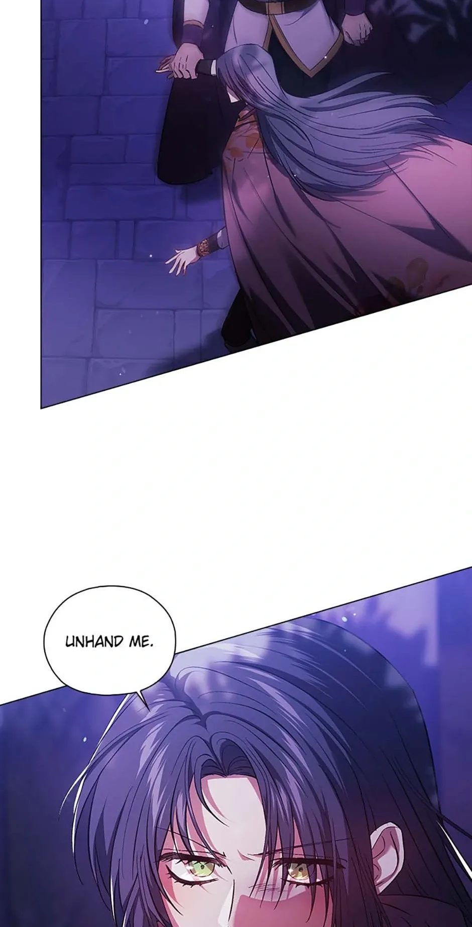 I don’t believe in my twin sister Chapter 78 Online - página 28