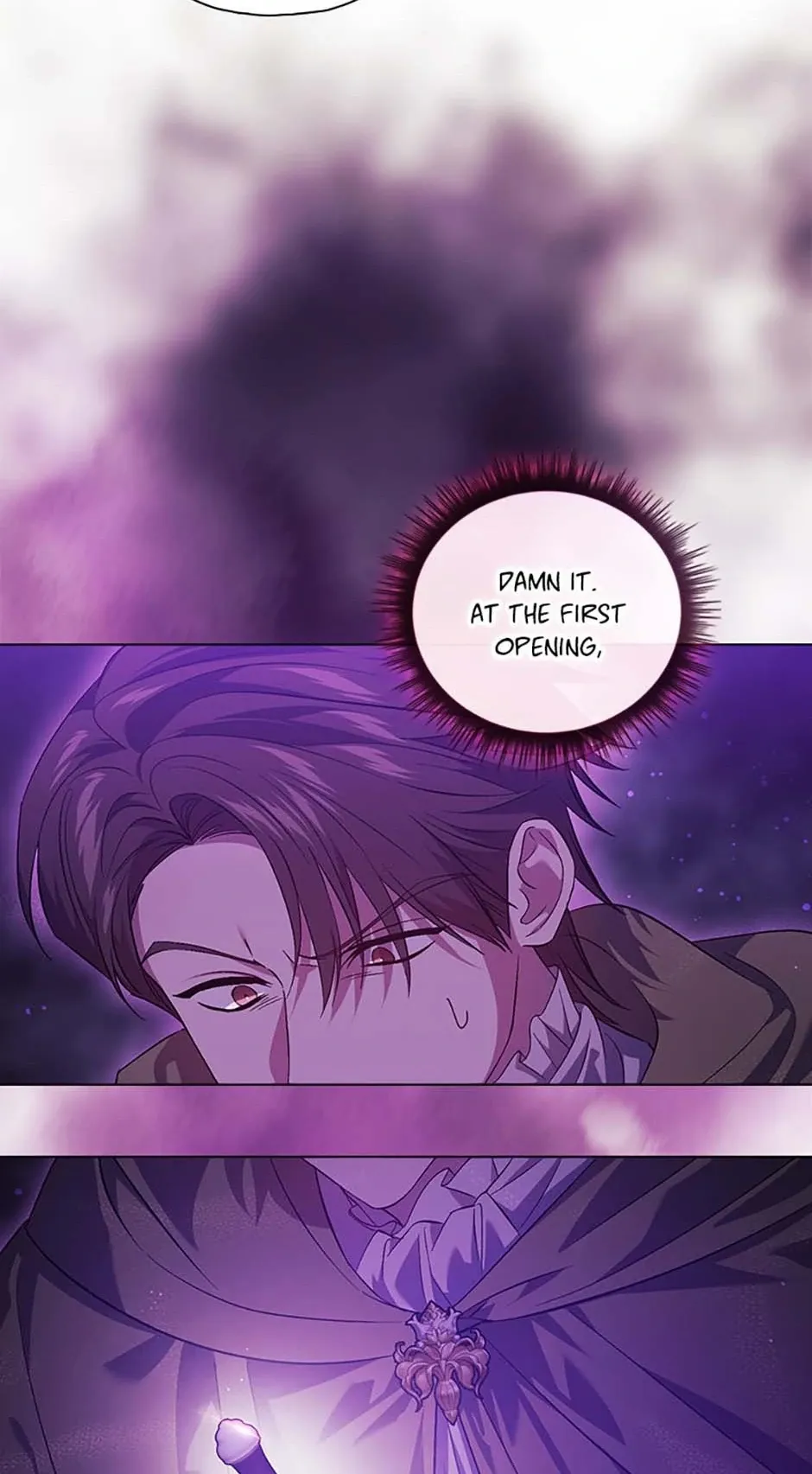 I don’t believe in my twin sister Chapter 79 Online - página 13