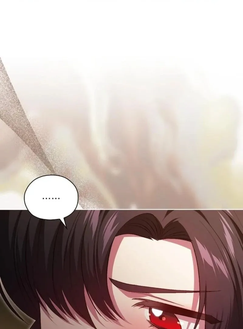 I don’t believe in my twin sister Chapter 96 Online - página 46