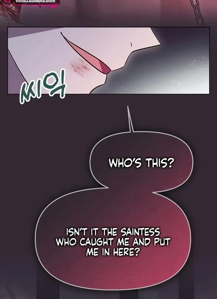 I Helped the Imprisoned Male Lead and He Became an Obsessive Man Chapter 30 Online - página 9