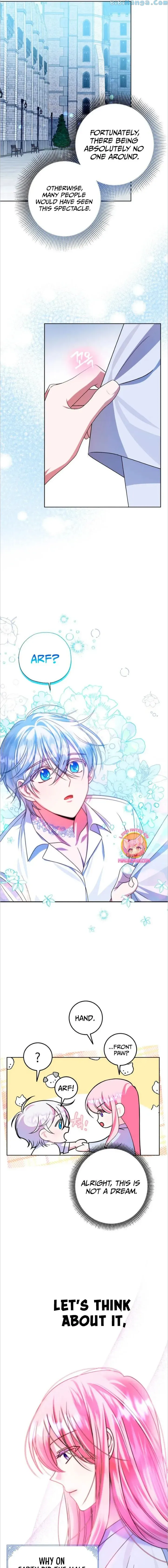 I Met the Male Lead In Prison (2023) Chapter 8 Online - página 5