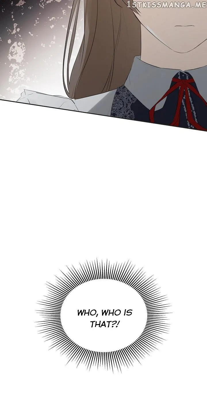 I Mistook the Hidden Identity of the Sub Male Lead Chapter 33 Online - página 45