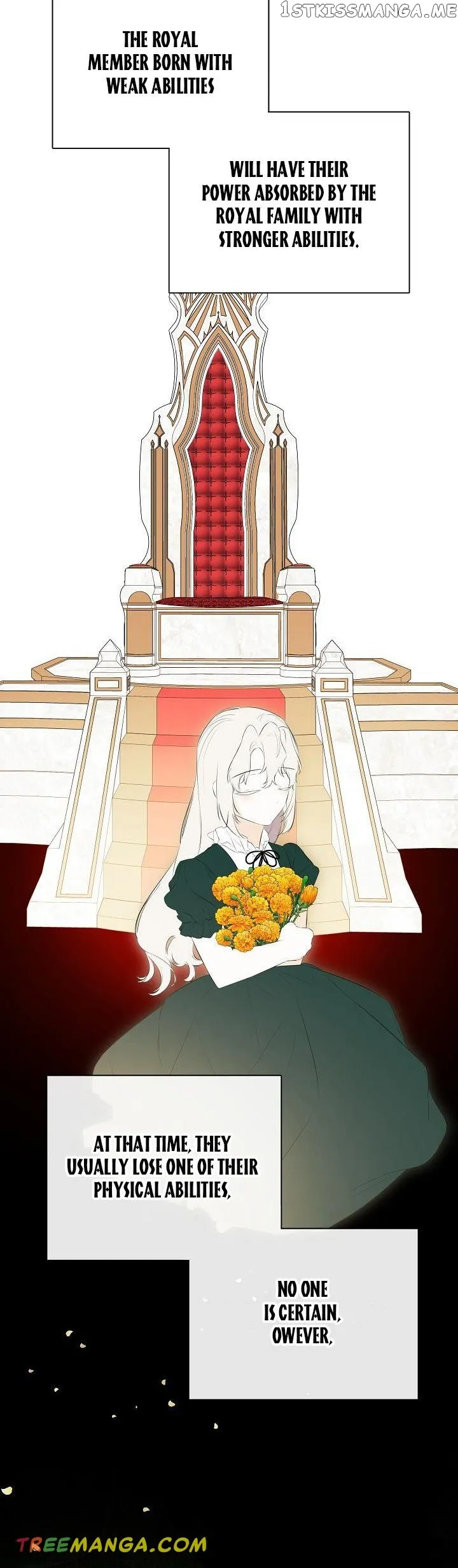 I Mistook the Hidden Identity of the Sub Male Lead Chapter 36 Online - página 35