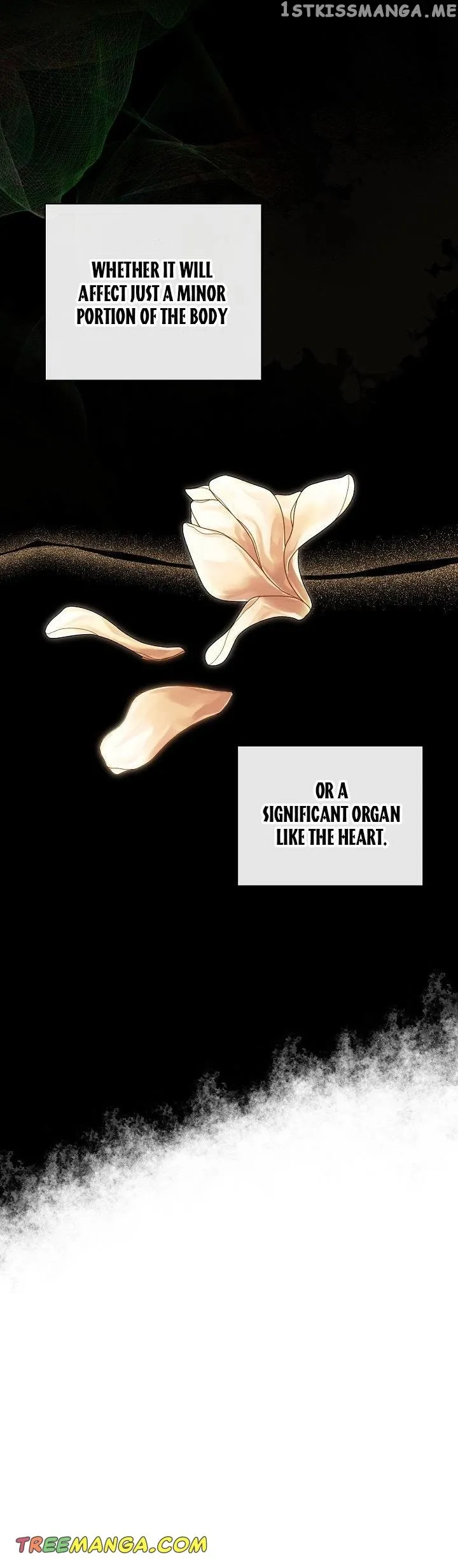 I Mistook the Hidden Identity of the Sub Male Lead Chapter 36 Online - página 36