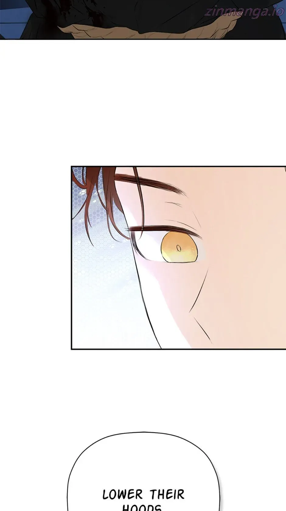 I Mistook the Hidden Identity of the Sub Male Lead Chapter 48 Online - página 2