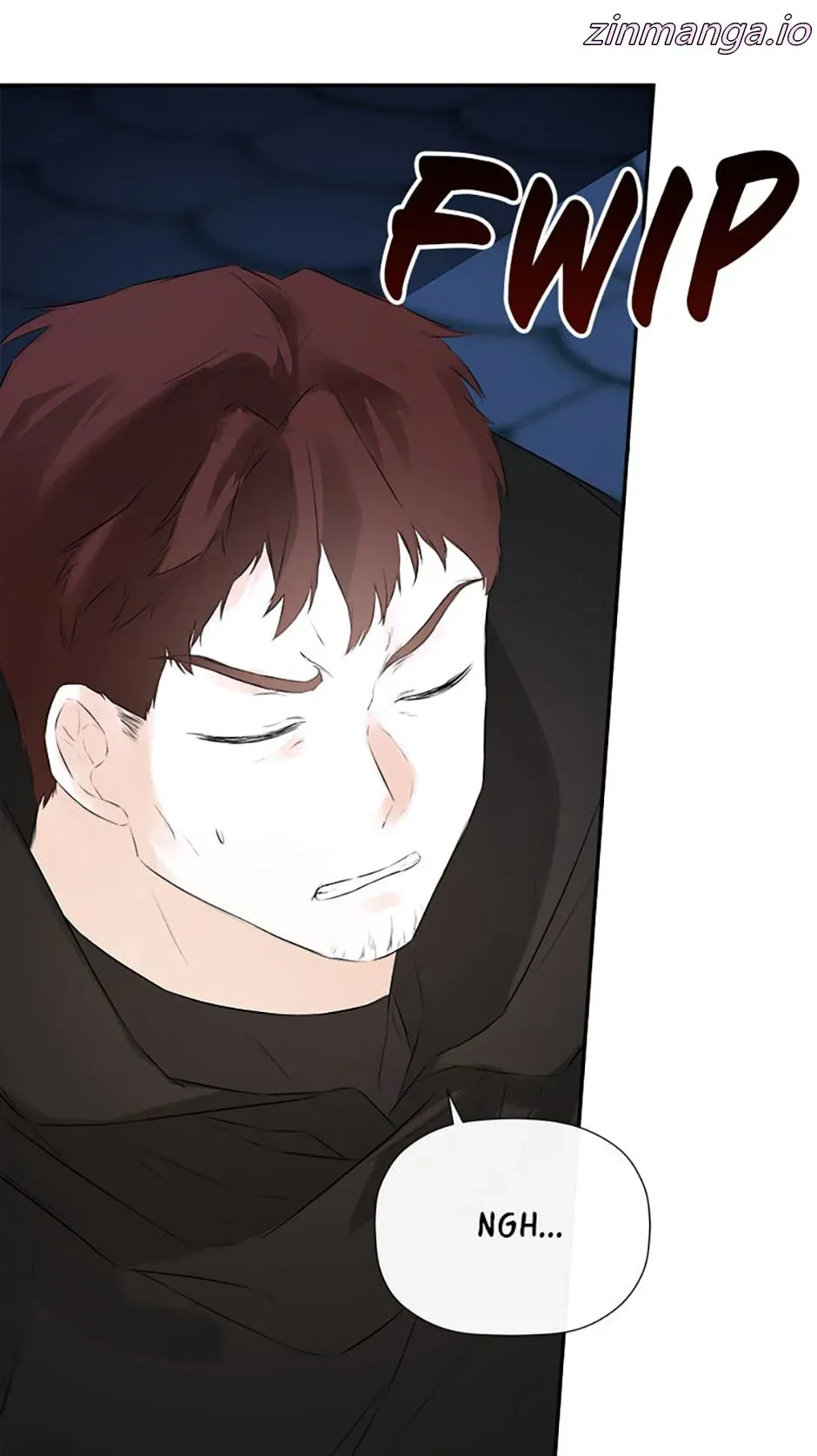 I Mistook the Hidden Identity of the Sub Male Lead Chapter 48 Online - página 4
