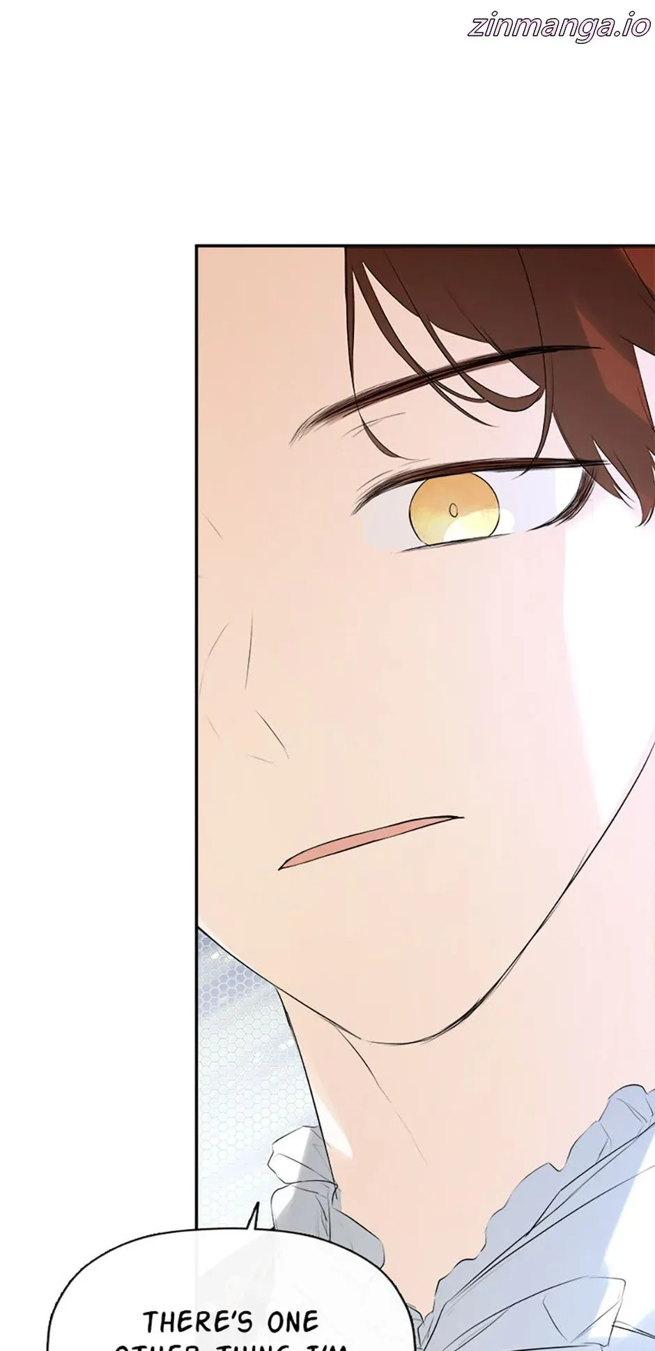 I Mistook the Hidden Identity of the Sub Male Lead Chapter 48 Online - página 21