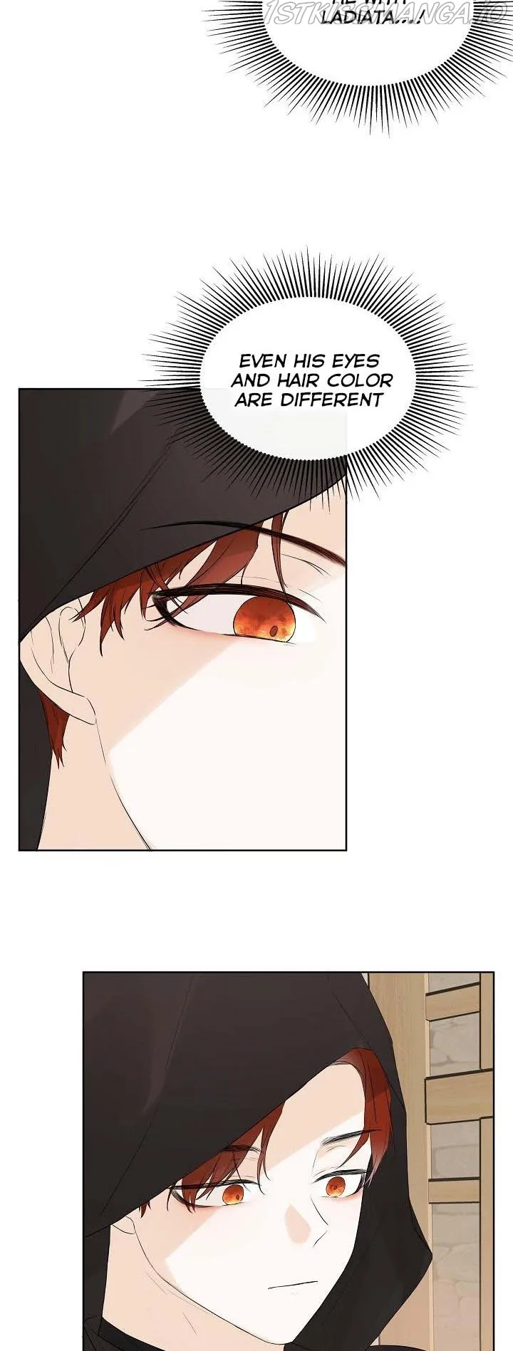 I Mistook the Hidden Identity of the Sub Male Lead Chapter 6 Online - página 10