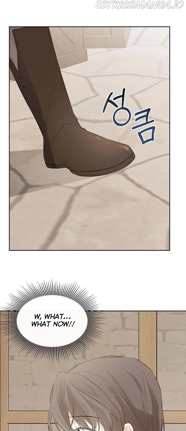 I Mistook the Hidden Identity of the Sub Male Lead Chapter 6 Online - página 42