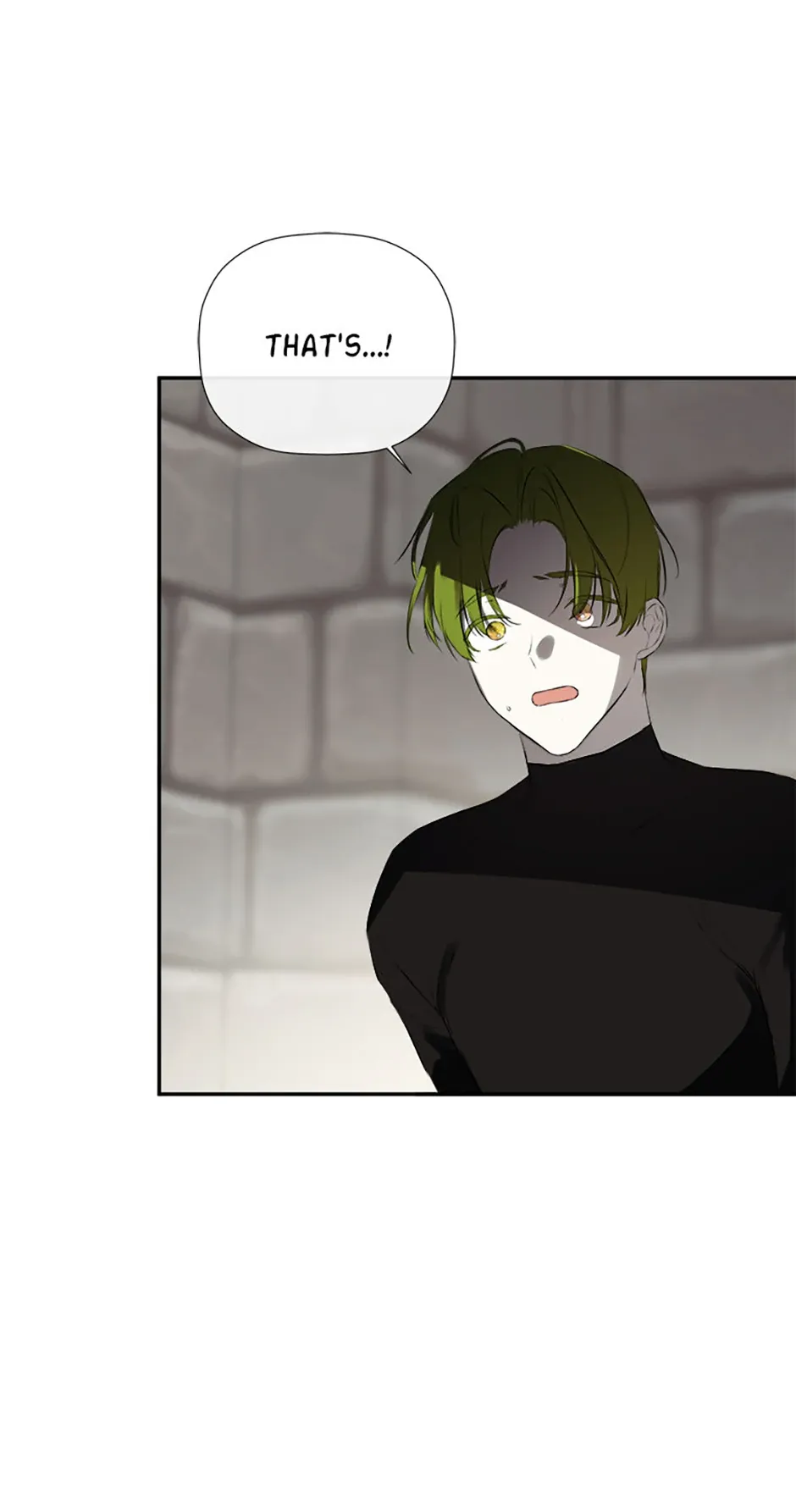 I Mistook the Hidden Identity of the Sub Male Lead Chapter 74 Online - página 38