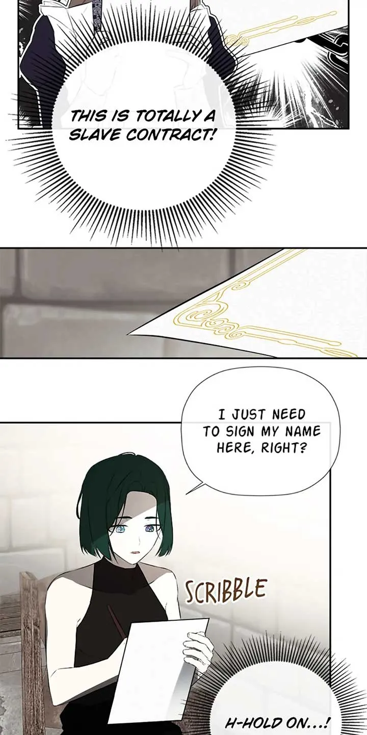 I Mistook the Hidden Identity of the Sub Male Lead Chapter 75 Online - página 30