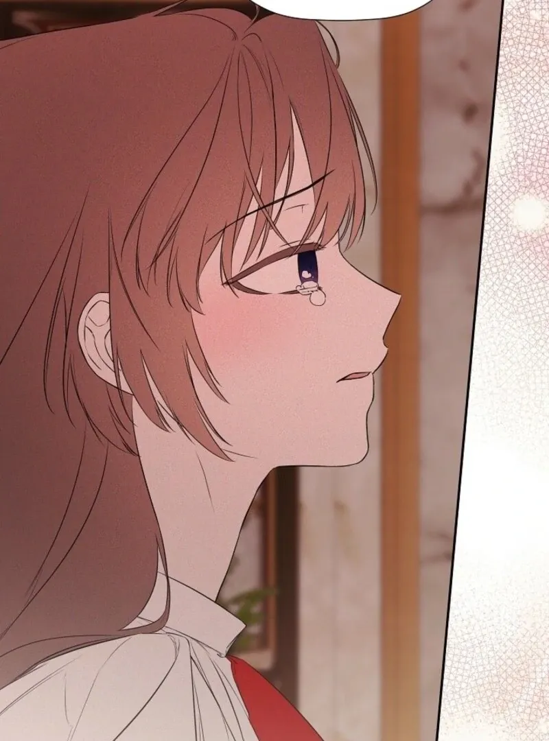 I Mistook the Hidden Identity of the Sub Male Lead Chapter 96 Online - página 95