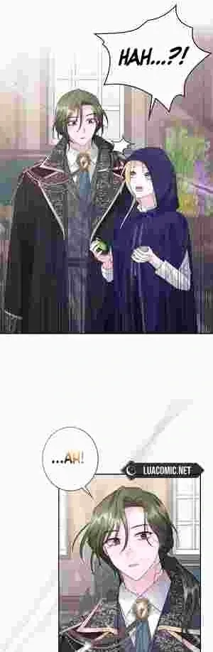 I Punished the Villainous Young Master, and He Became Obsessed with Me Chapter 15 Online - página 32