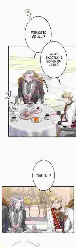 I Punished the Villainous Young Master, and He Became Obsessed with Me Chapter 20 Online - página 46