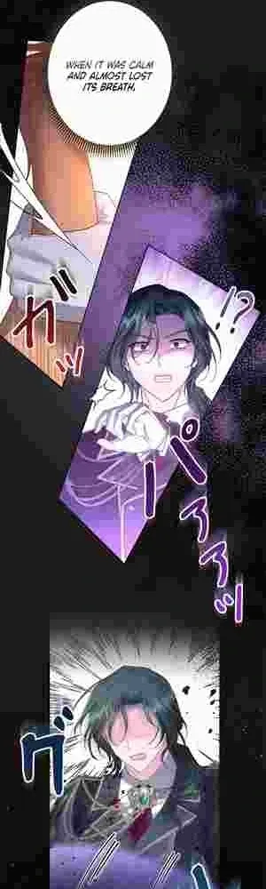 I Punished the Villainous Young Master, and He Became Obsessed with Me Chapter 21 Online - página 20