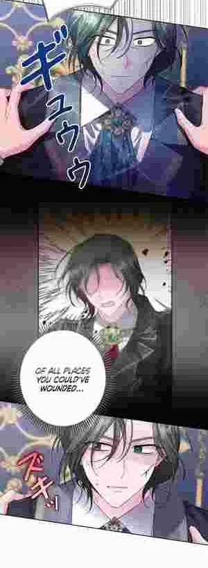 I Punished the Villainous Young Master, and He Became Obsessed with Me Chapter 21 Online - página 26