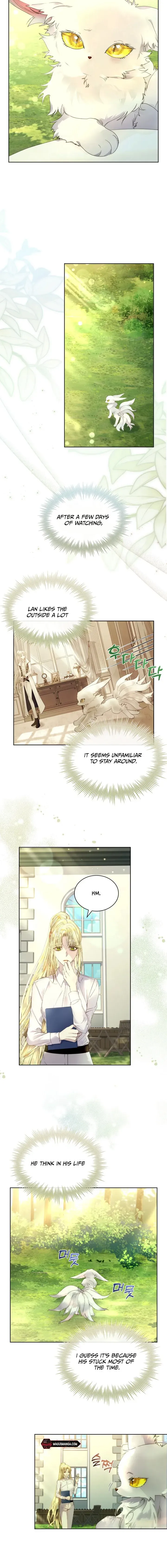 I Raised the Nine – Tailed Fox Wrongly Chapter 12 Online - página 9