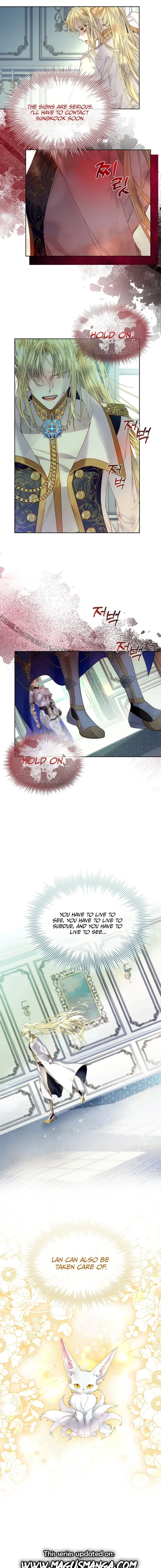 I Raised the Nine – Tailed Fox Wrongly Chapter 12 Online - página 16
