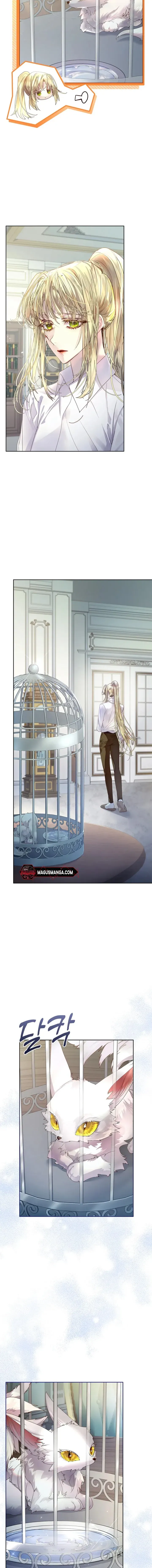 I Raised the Nine – Tailed Fox Wrongly Chapter 4 Online - página 7