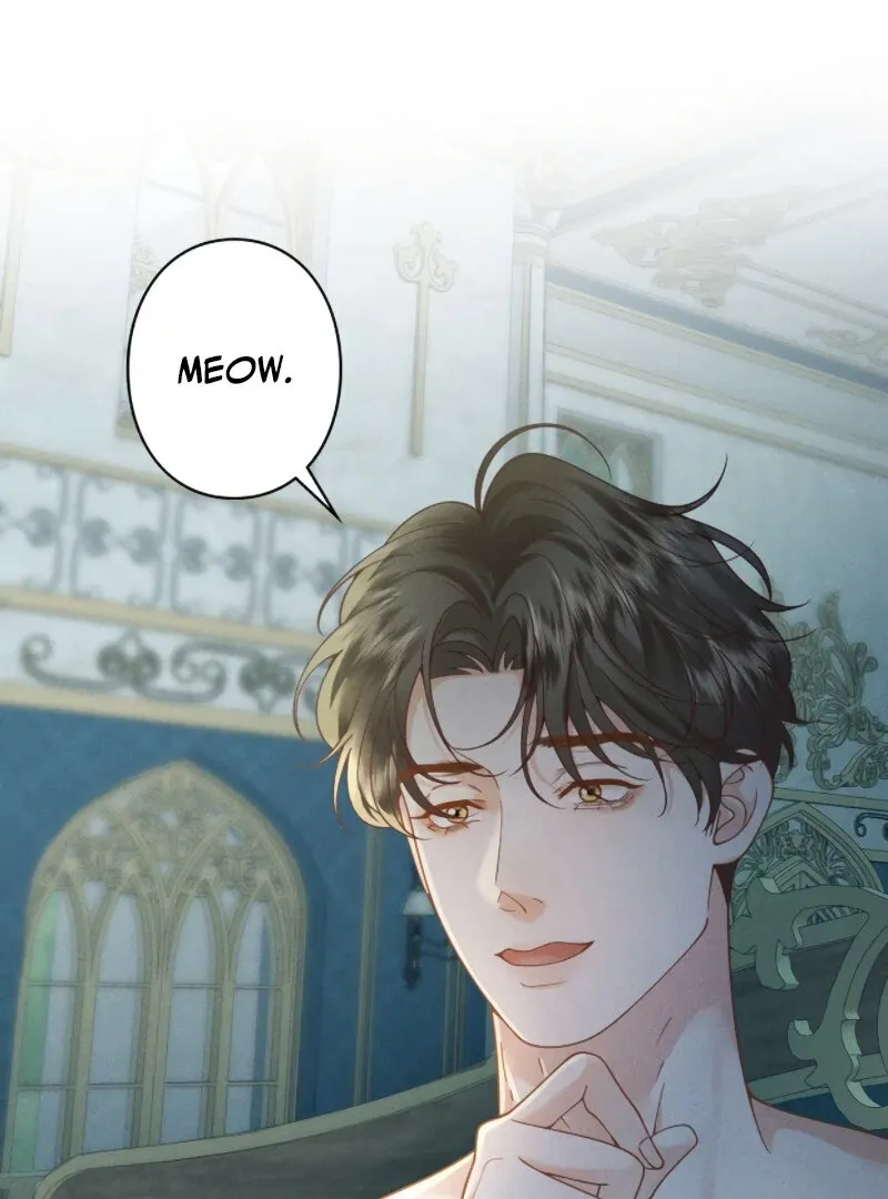 I Ran Away With My Contracted Husband Chapter 1 Online - página 23