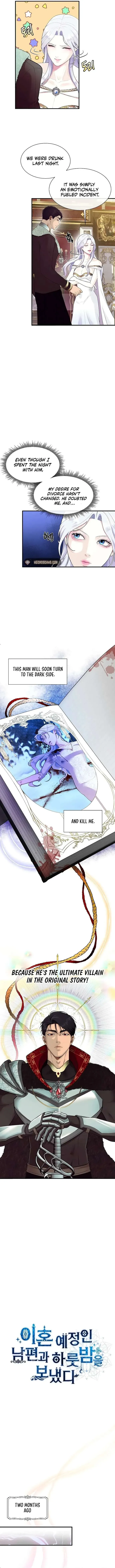 I Spent the Night with My Soon-to-be Ex-Husband Chapter 1 Online - página 8