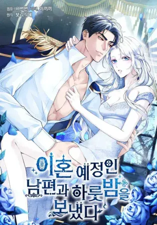 I Spent the Night with My Soon-to-be Ex-Husband Chapter 17 Online - página 1