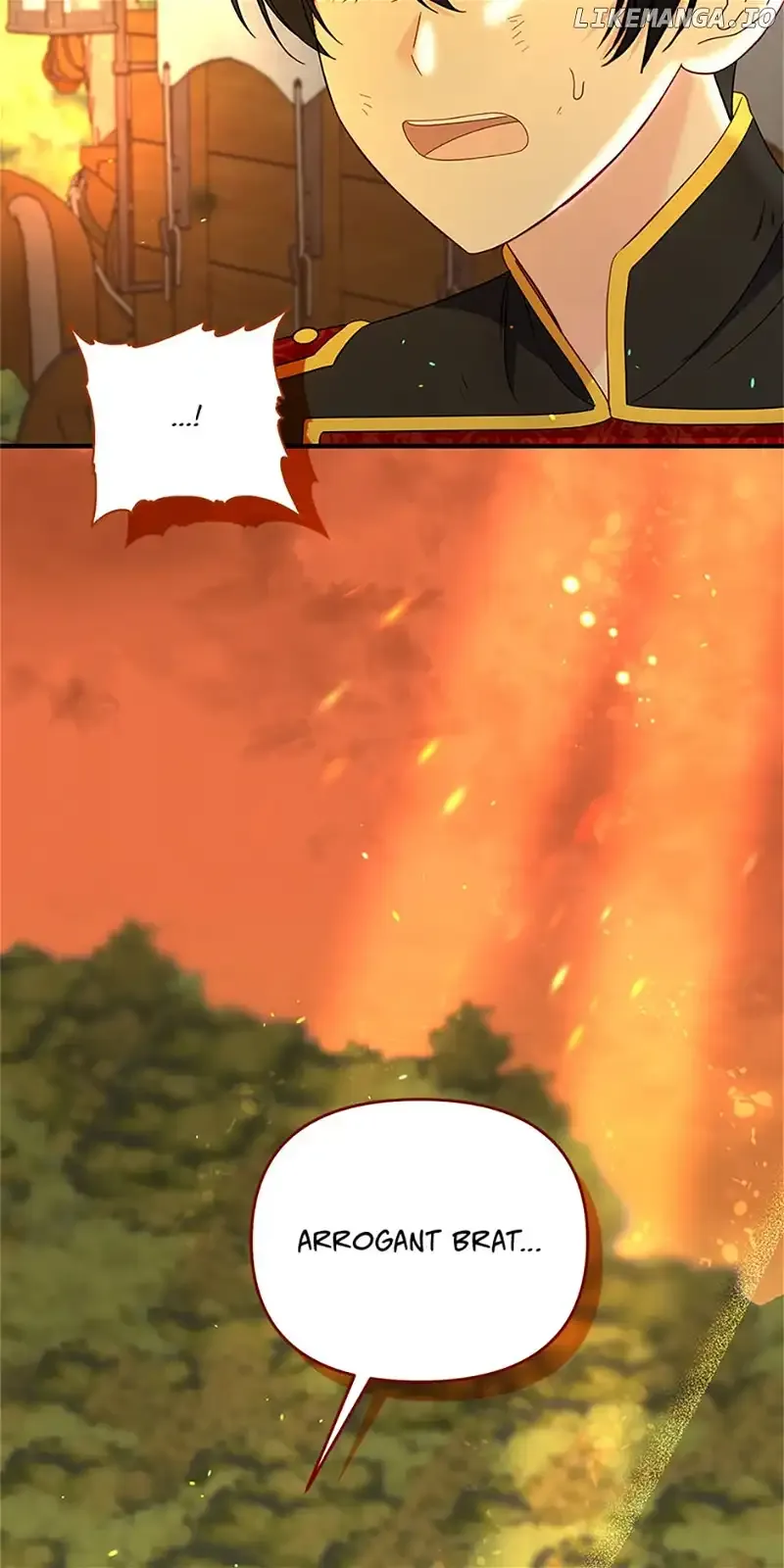 I stole the child of my war-mad husband Chapter 68 Online - página 15