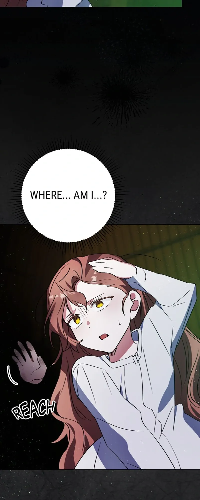 I Thought I was the Real Daughter Chapter 49 Online - página 14