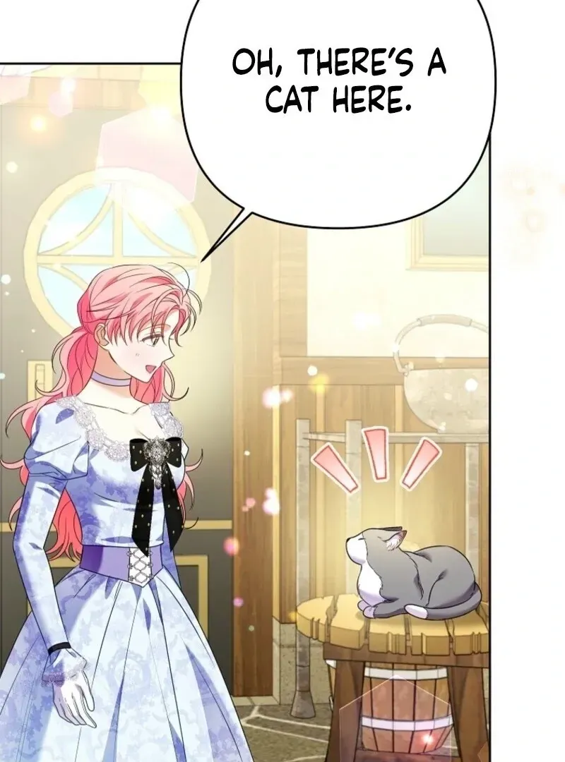 I Thought You Were A Time-Limited Husband Chapter 61 Online - página 9