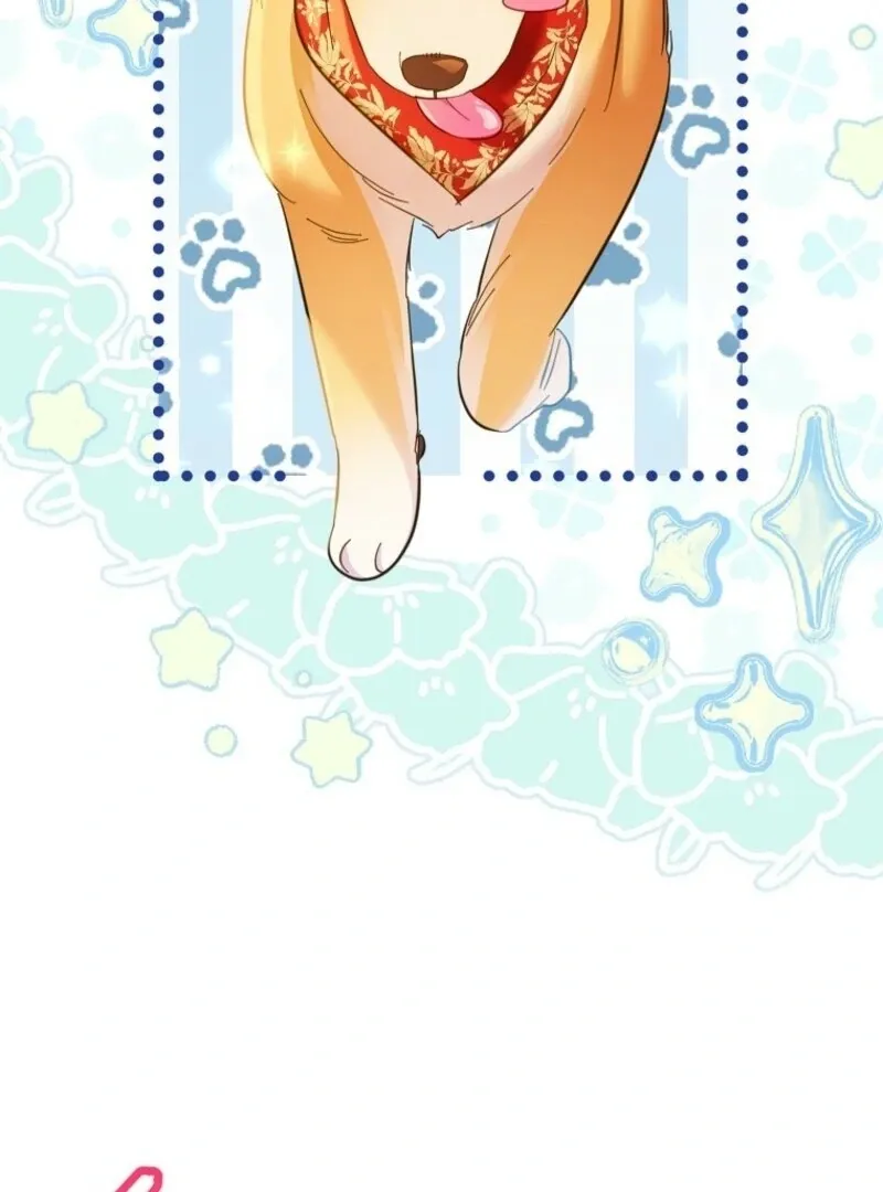 I Thought You Were A Time-Limited Husband Chapter 67 Online - página 74