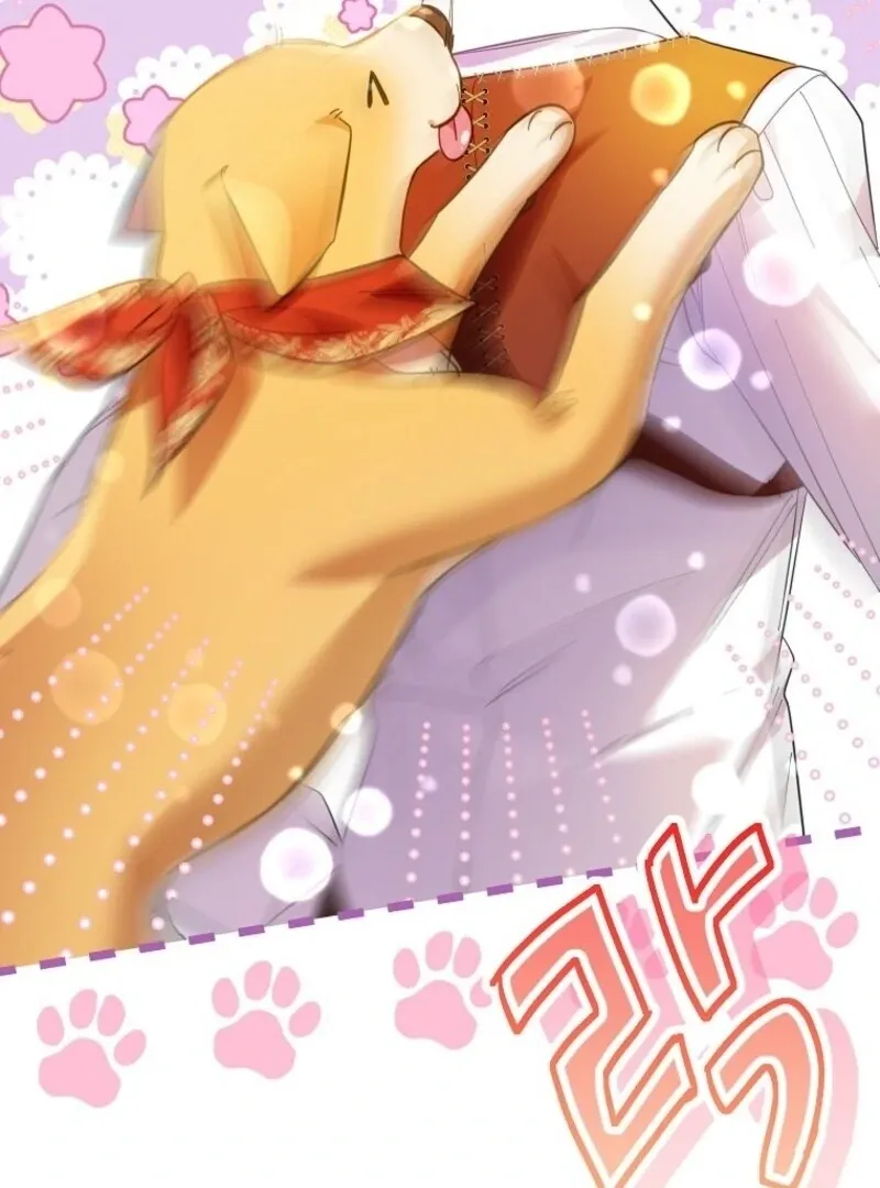 I Thought You Were A Time-Limited Husband Chapter 67 Online - página 79